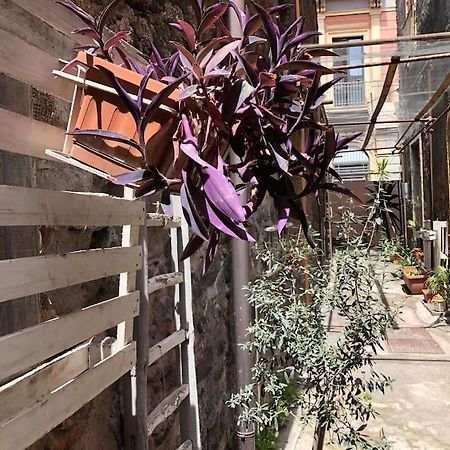 Suite Vicolo Lavico คาตาเนีย ภายนอก รูปภาพ