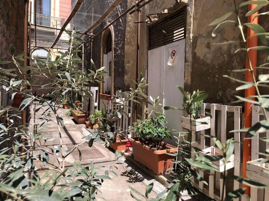 Suite Vicolo Lavico คาตาเนีย ภายนอก รูปภาพ